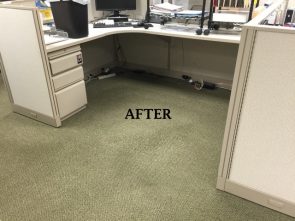 carpet cleaning after